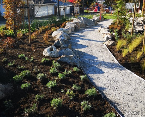 Commercial Landscaping