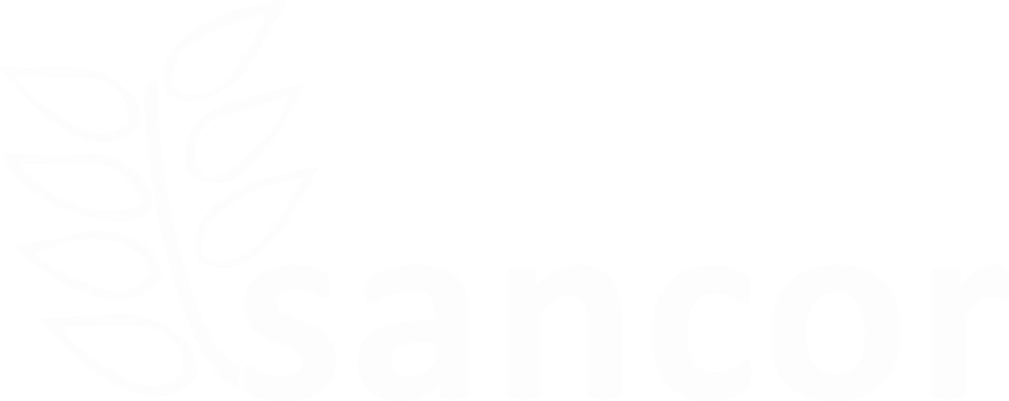 Sancor Irrigaiton & Landscaping Inc